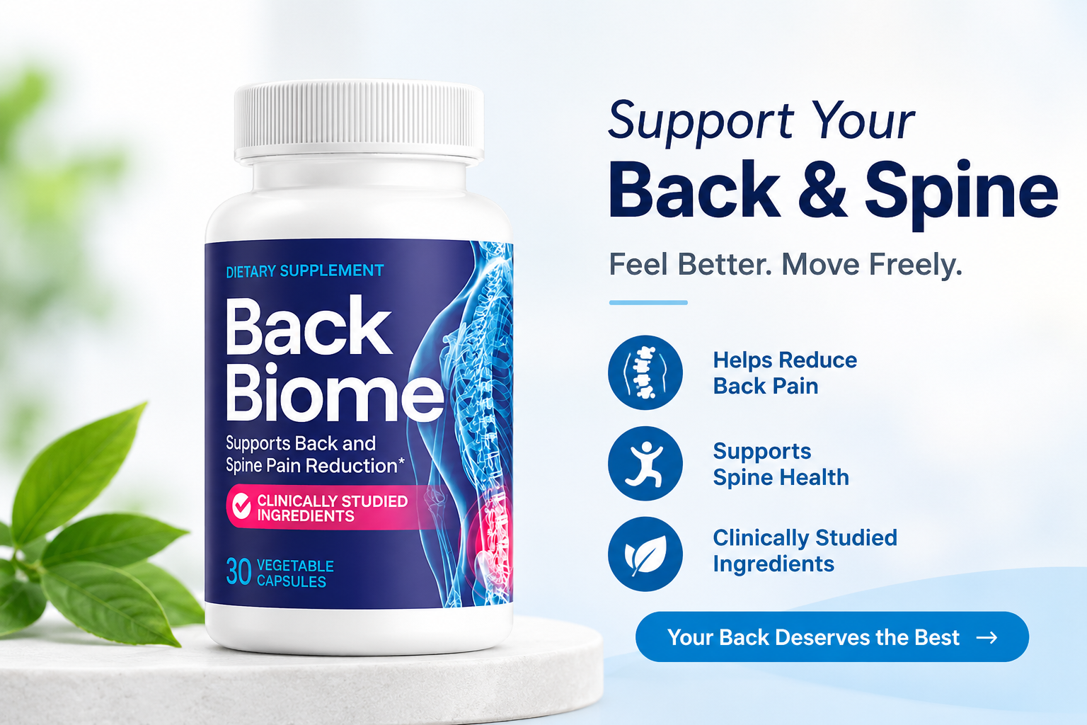 Supplied BackBiome back and spine promotional artwork