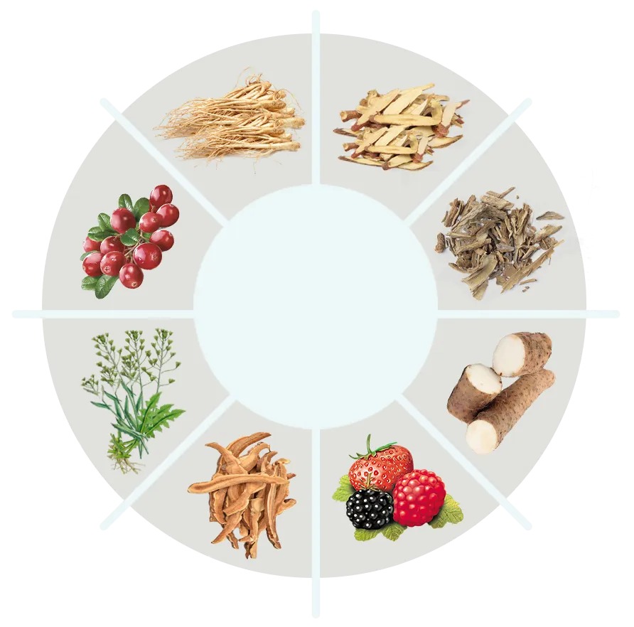 Supplied circular illustration showing botanical ingredients